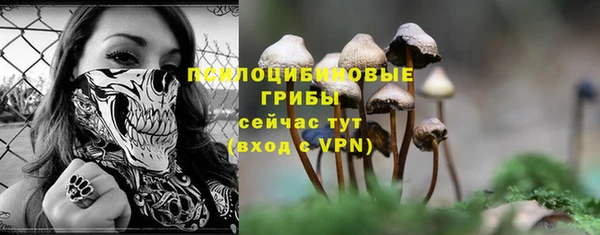 марки nbome Аркадак
