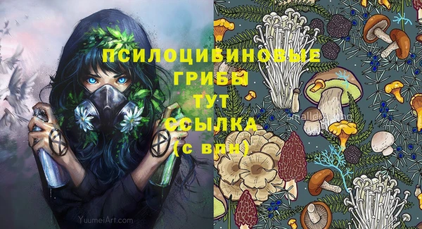 стаф Армянск