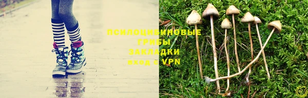 марки nbome Аркадак