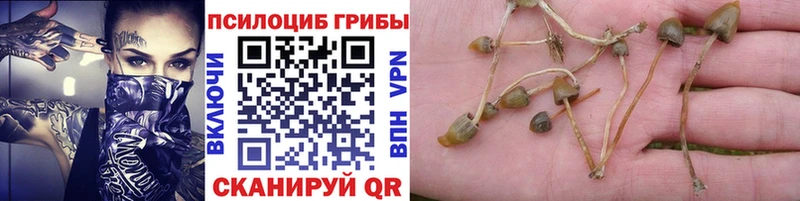 Псилоцибиновые грибы прущие грибы  Саяногорск 